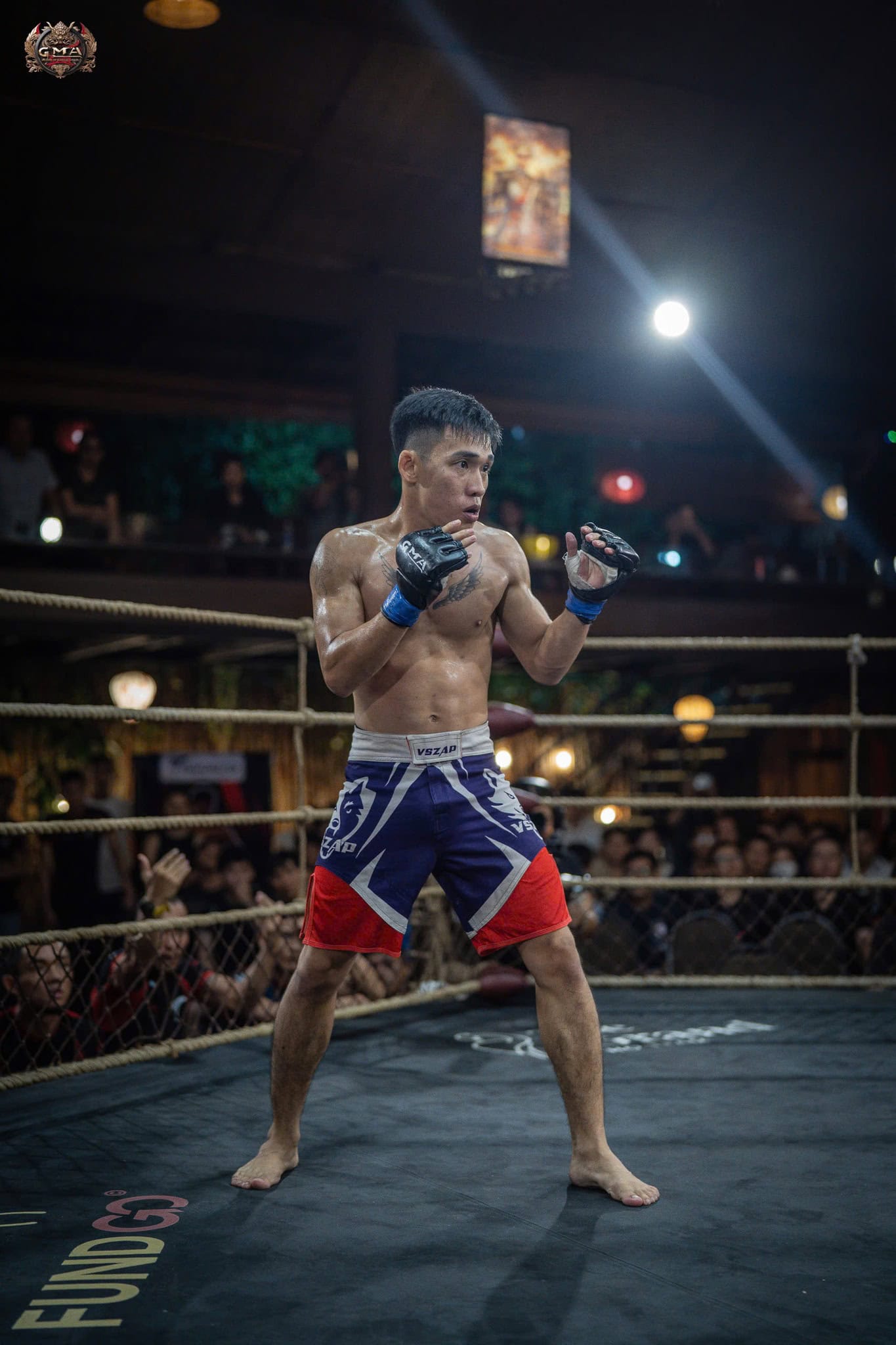MMA fighter in ring