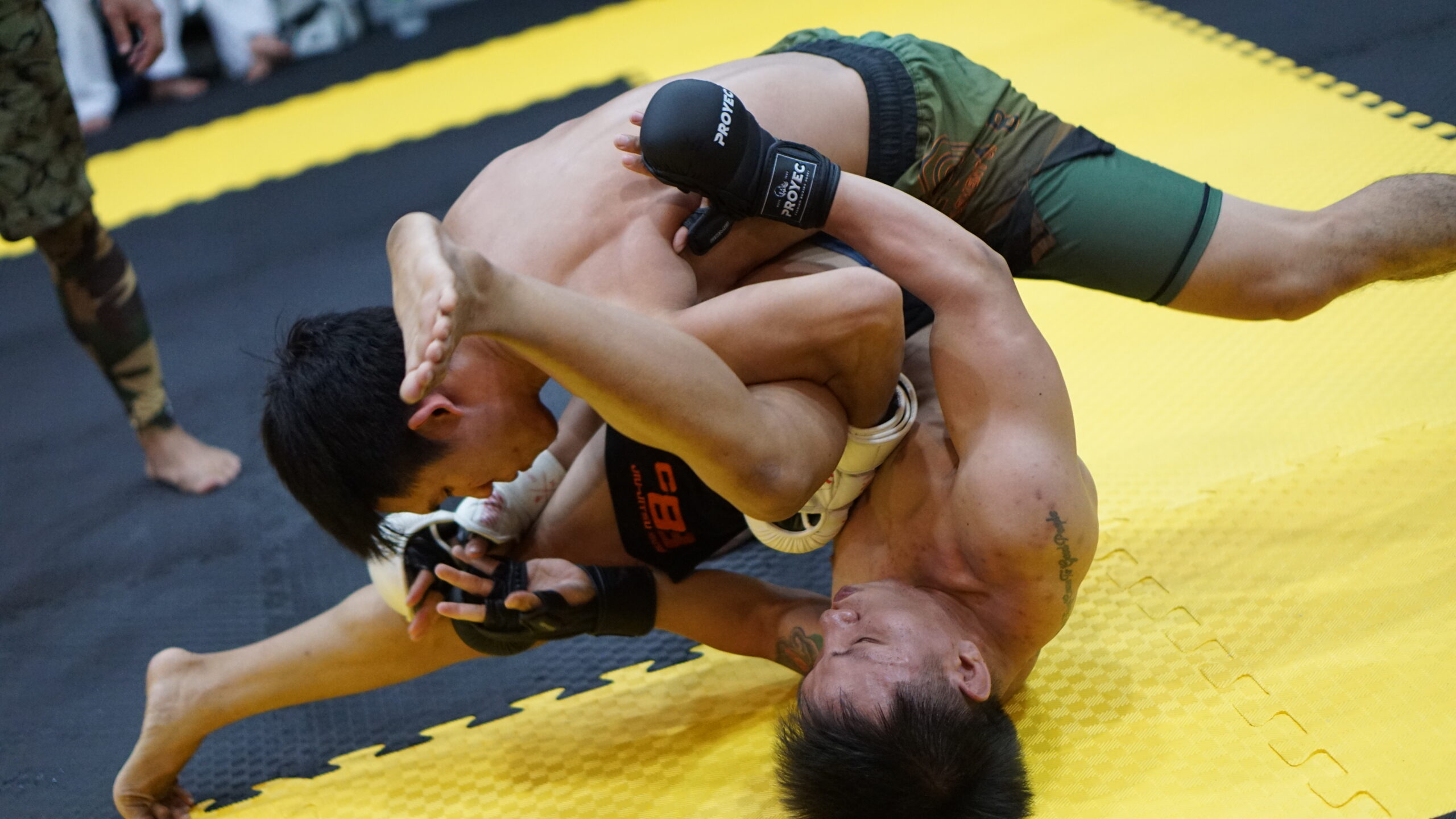 MMA sparring session ELAB